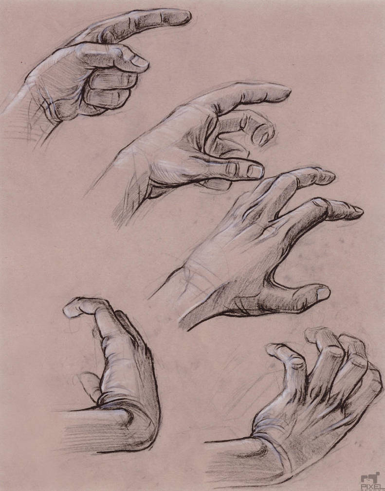 Hand Study
