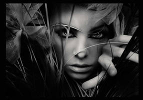 Through by larafairie