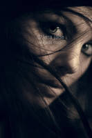 With The Wind by larafairie