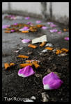 Rose Petals and Cigarettes by ElenionTolto