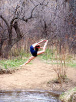 Flying Across the Lake by MelissMySiss