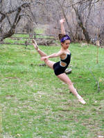 The Different Leaps by MelissMySiss