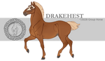 Drakehest Group Horse 15028 by DrakehestCouncil