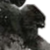 Kong2020Conceptplz