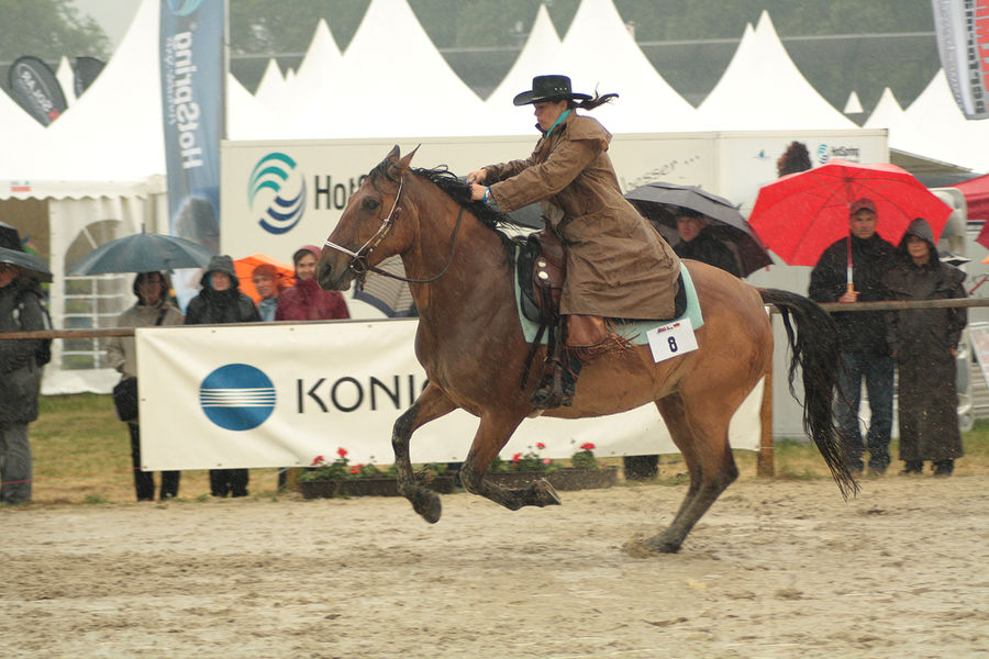 Equitana stock 208 by Bundy-Stock