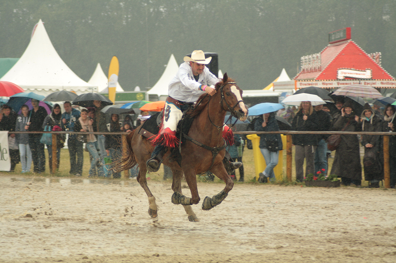 Equitana stock 212 by Bundy-Stock