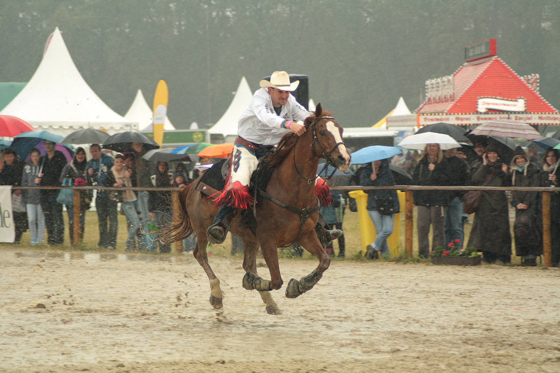 Equitana stock 212 by Bundy-Stock