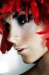 Red Feathers by Tom-Mosack