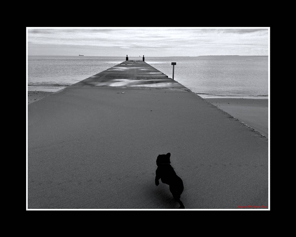 A Gray Day by Trippy4U