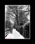 Bus Stop by Trippy4U
