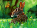Rabbit and Butterflies Drawing by AmBr0