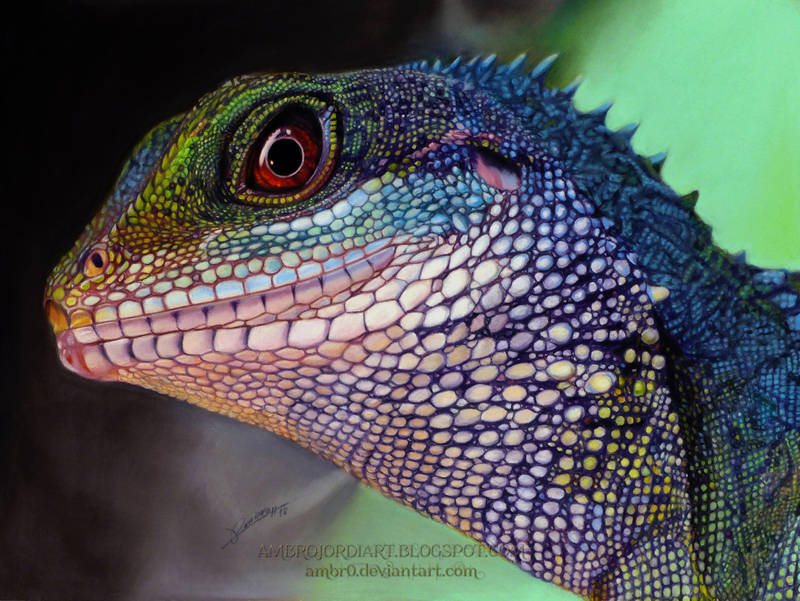 Chinese Water Dragon Drawing by AmBr0