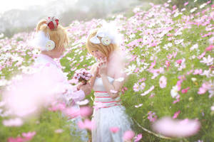 Vocaloid_White Magnet by MmeWhoo