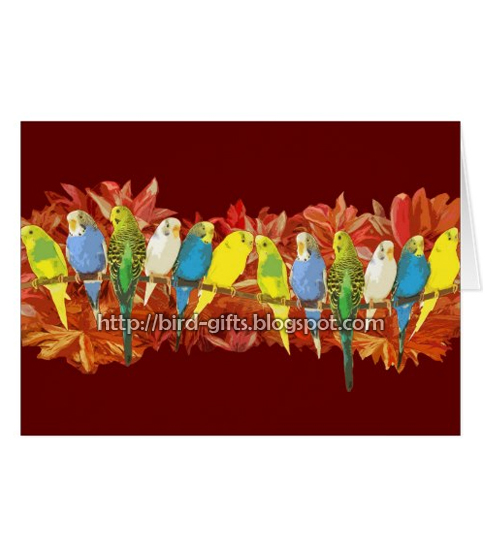 Colorful Budgies Pattern Greeting Card