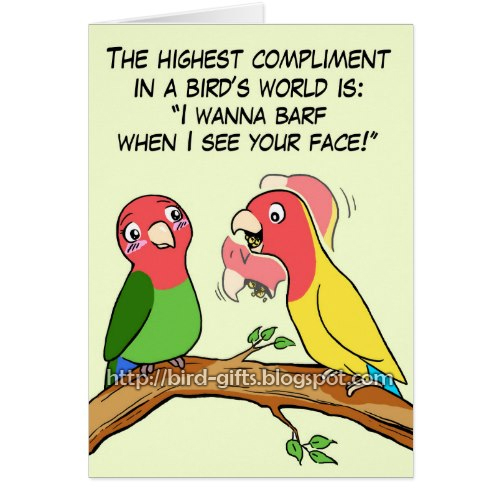 Lovebird parrot and bird way telling i love you greeting card