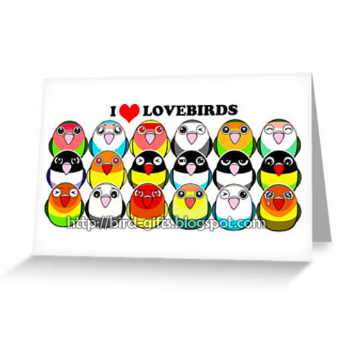 Cute lovebird color mutations cartoon greeting card