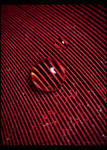 Lines and Magnification by DafoeofLenin