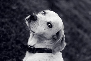 LookAtMyEyes by ahmetart