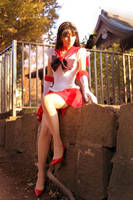 Sailor Mars 5 by foux86