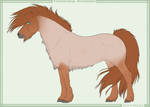Tundra pony import 005 - SOLD by Danesippi