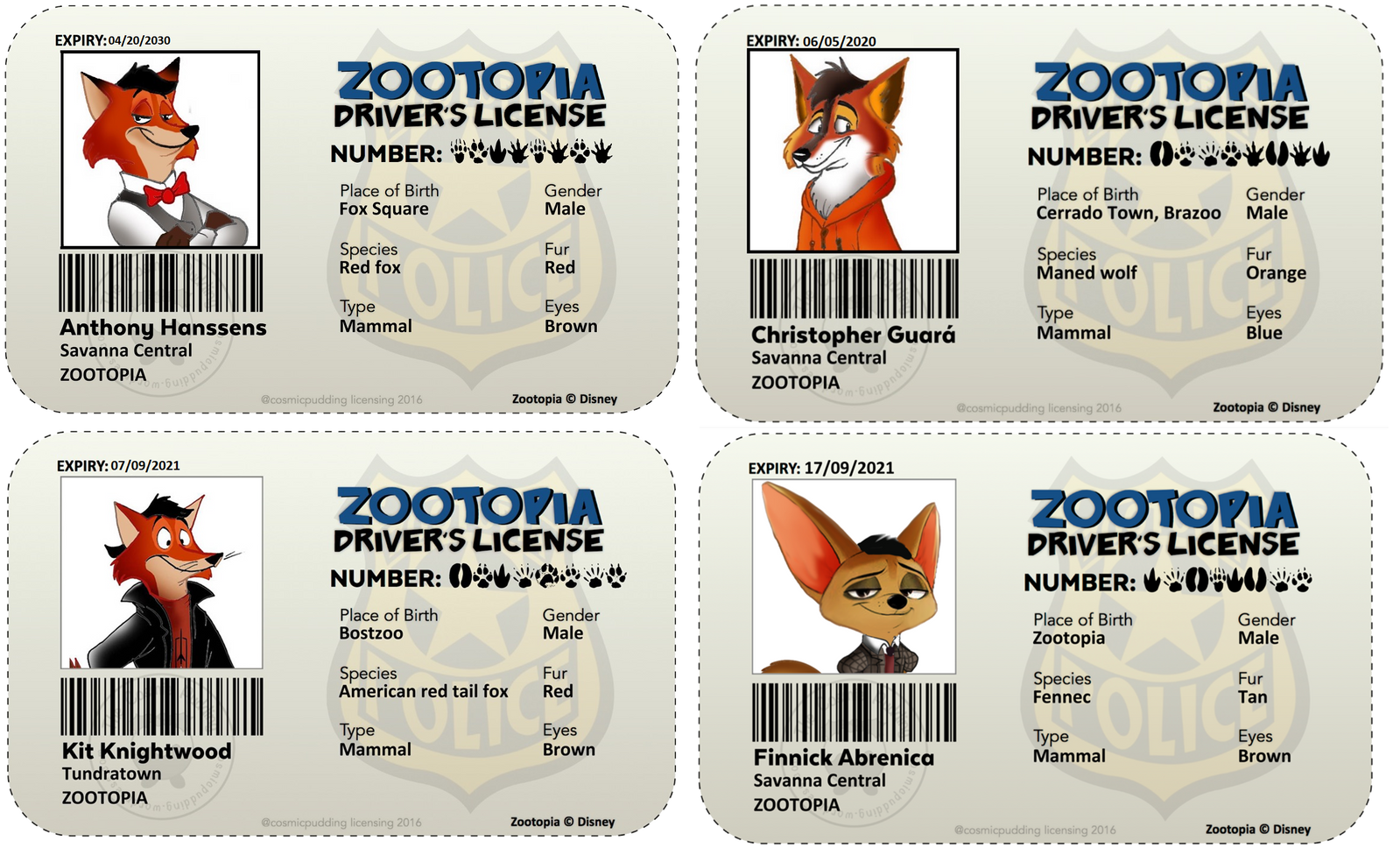 Partners of Zootopia Driver License by FairytalesArtist on DeviantArt