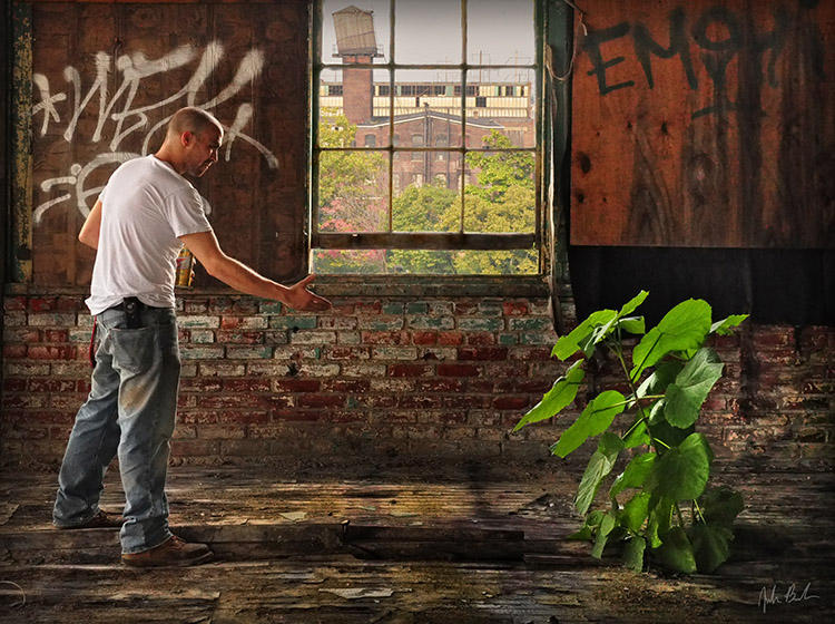 The Truce by barefootphotography