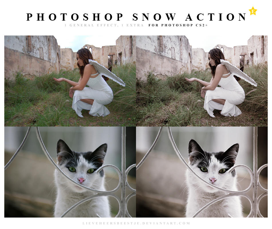 Photoshop Snow Action by meganjoy