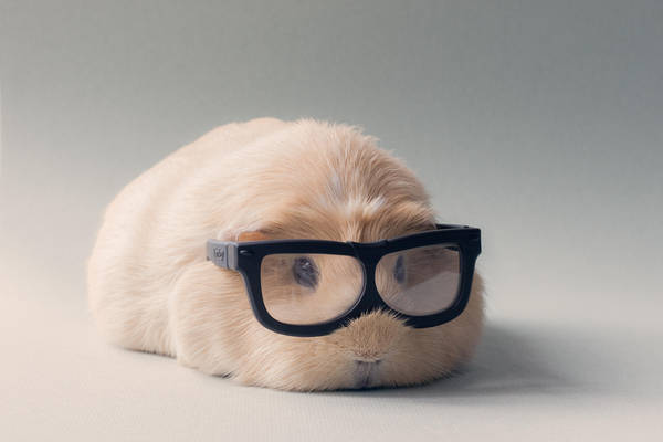 Professor Booboo by meganjoy