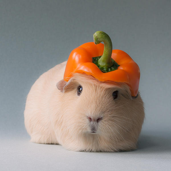 A capsicum by meganjoy