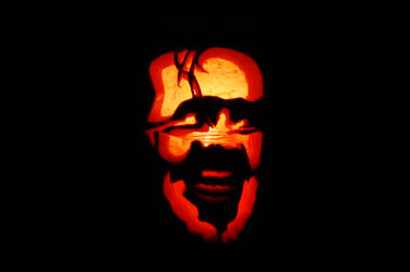 pumpkin 2010 by pexa