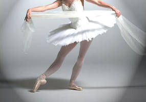 Ballet Grace by energizerbunnie