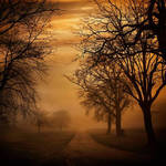 Incandescent red by julie-rc