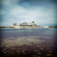 Welcome ... by julie-rc