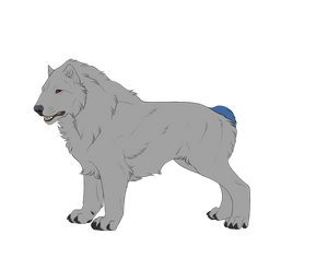 Dwarf Bobtail by TheNook Dwarf Bobtail by TheNook