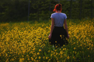 To find peace by noukka