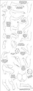 Bends in the Body (elbows and knees) by DerSketchie