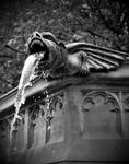 gargoyle by LucysPhotography1991