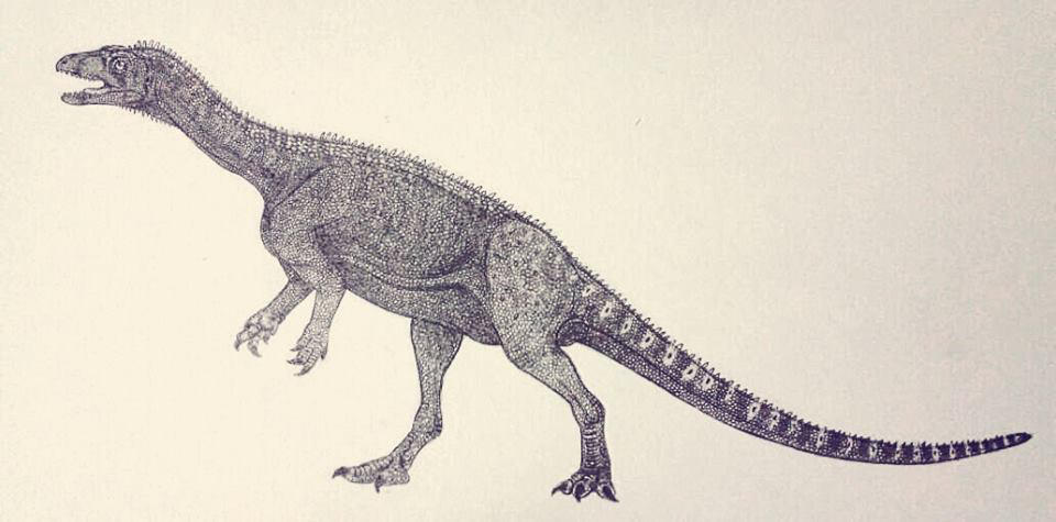 saturnalia dinosaur saturnalia dinosaur
