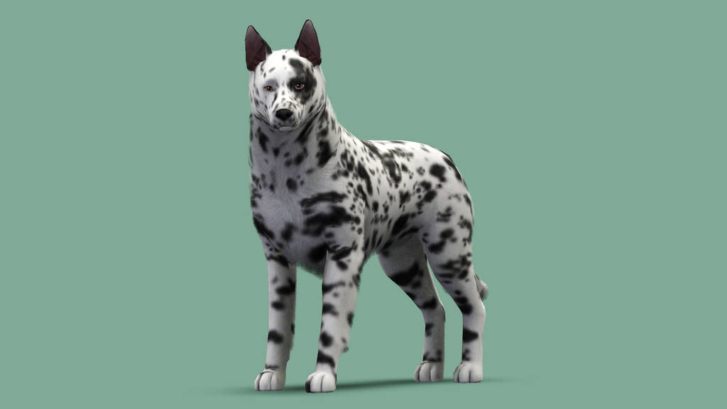 Sims 3 Dog Custom Content Downloads by SpirityTheDragon on DeviantArt