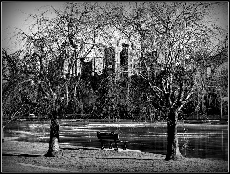 Between the Branches by Ryser915