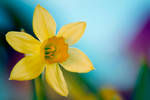 Little girl III by Lomil-Gathiel