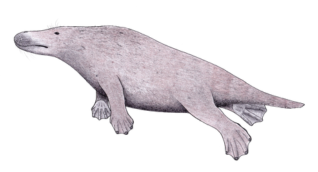 #rodhocetus | Explore rodhocetus on DeviantArt