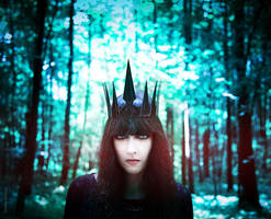 Dark Crown by Vetrova