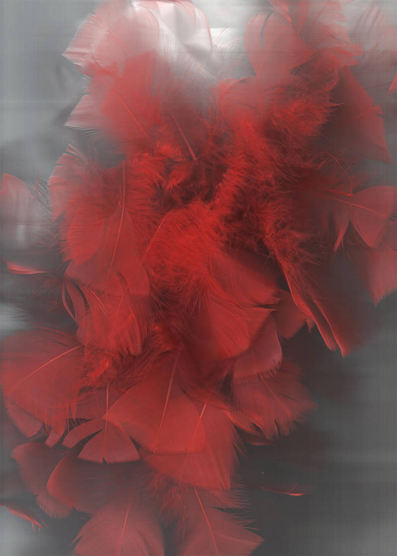 Red Feathers 02... by the-night-bird