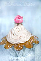 Walnut Cream Cupcake I by Lily-of-the-Vallley