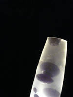 ho.. by phyto-parhazart