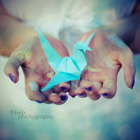 La grue by eulalievarenne