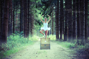 La boite a musique by eulalievarenne