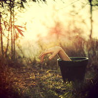 Cache-cache 02 by eulalievarenne