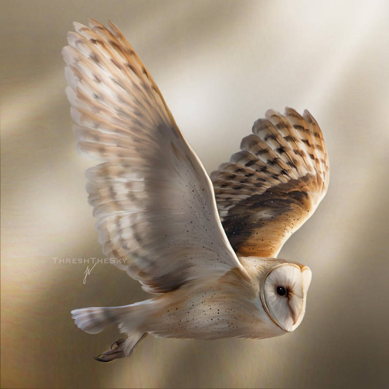 Flight of a Ghost by ThreshTheSky